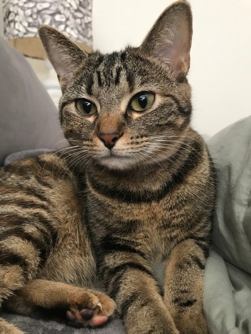 9DAB614A-C887-4CA3-805F-1D9D0B0CBFD2