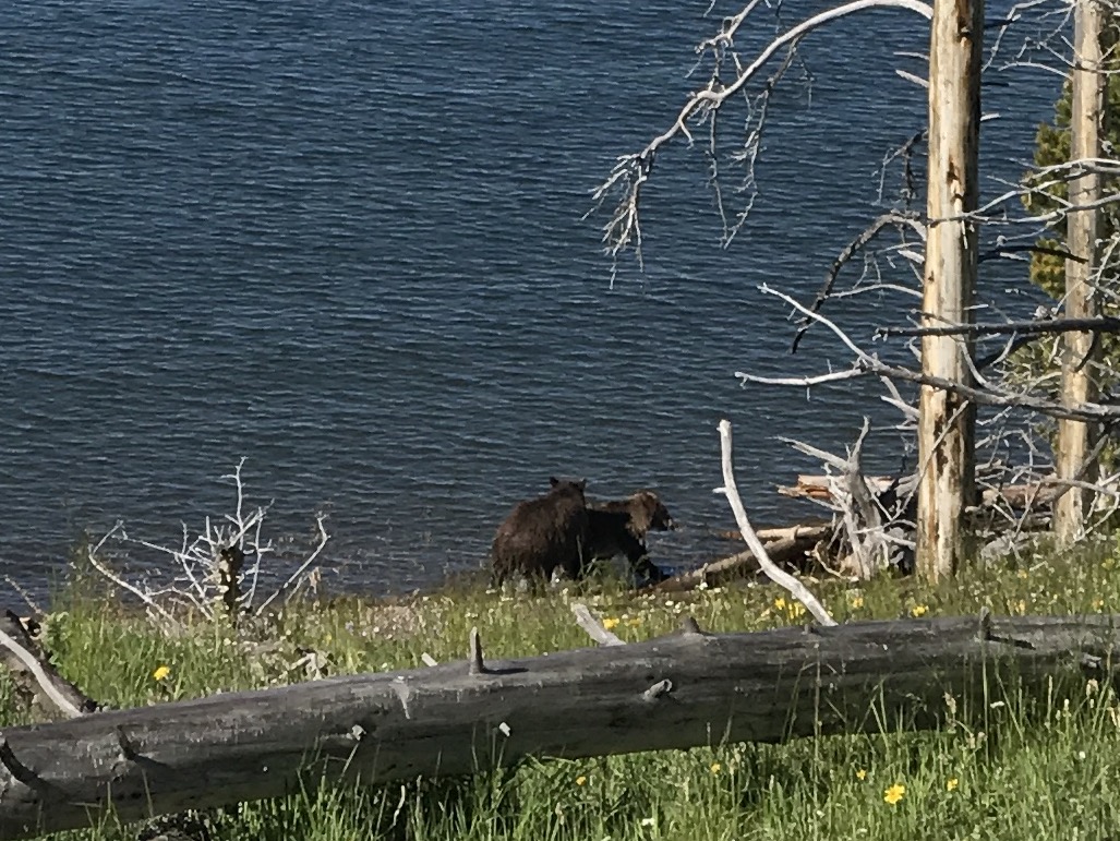 NO+xXkGoRwG%FusAngIq3Q_thumb_41d