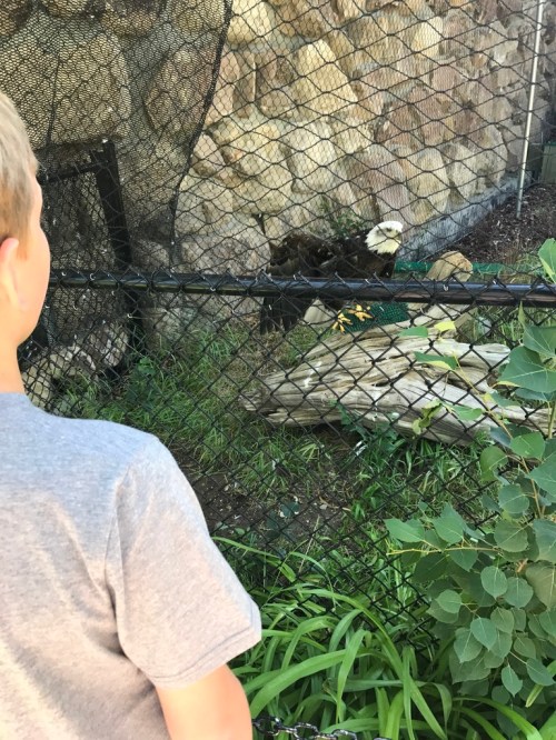 UNADJUSTEDNONRAW_thumb_419