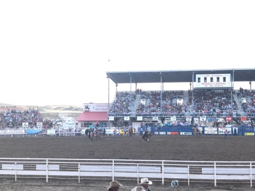 UNADJUSTEDNONRAW_thumb_41b