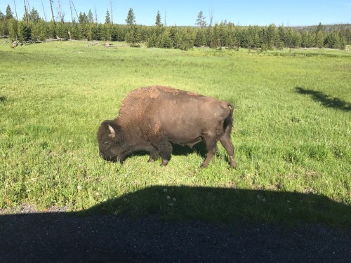 UNADJUSTEDNONRAW_thumb_41e