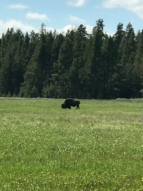 UNADJUSTEDNONRAW_thumb_447