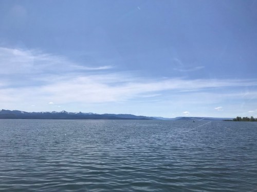 UNADJUSTEDNONRAW_thumb_45d