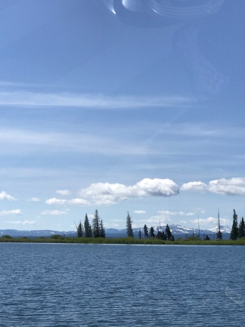 UNADJUSTEDNONRAW_thumb_463