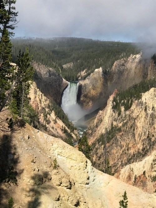 UNADJUSTEDNONRAW_thumb_466