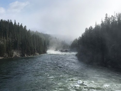 UNADJUSTEDNONRAW_thumb_472