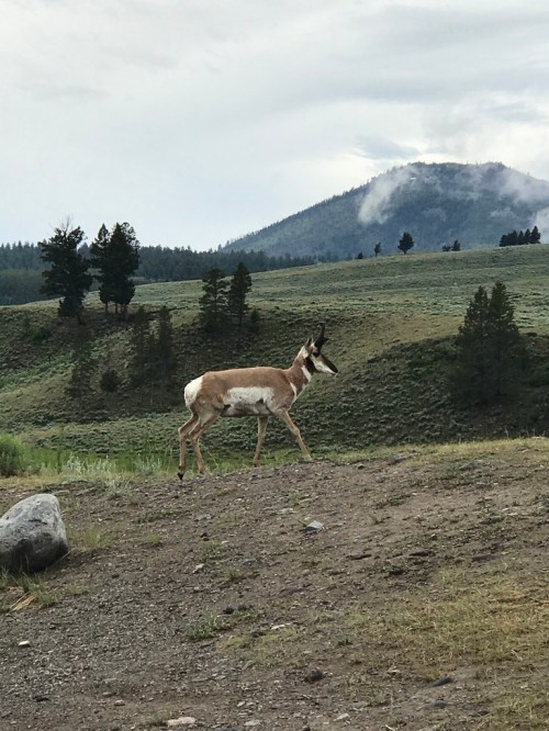 UNADJUSTEDNONRAW_thumb_47e