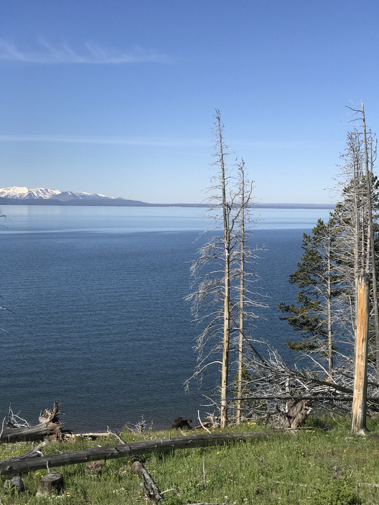 UNADJUSTEDNONRAW_thumb_f21