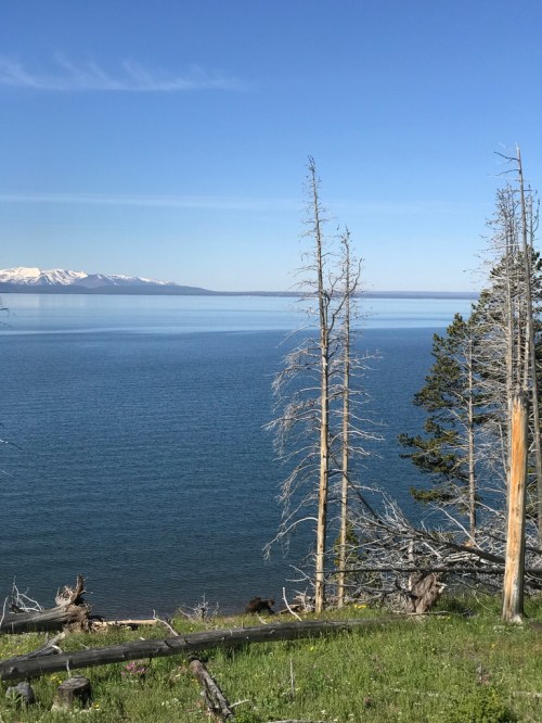 UNADJUSTEDNONRAW_thumb_f21